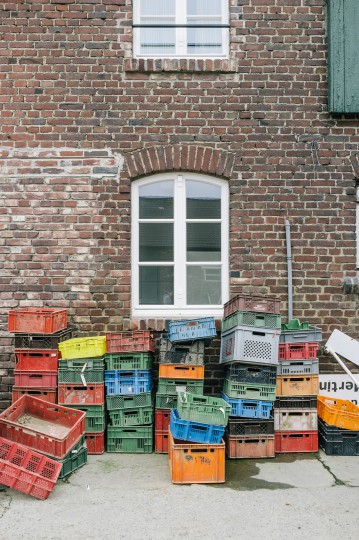 Apfelernte im Münsterland